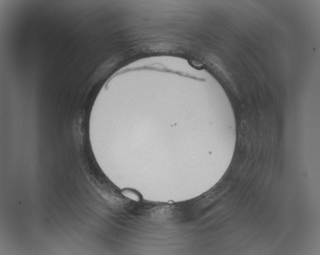 X0000073840116200609071551