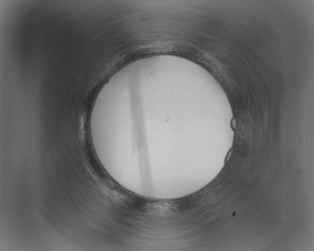 X0000073840118200609071551