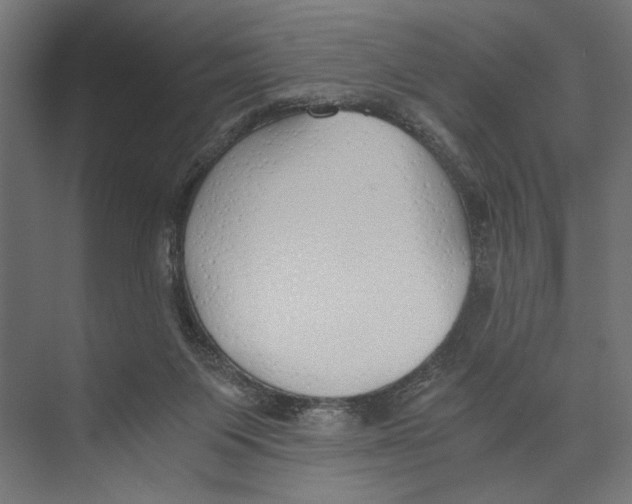 X0000073840119200609071551