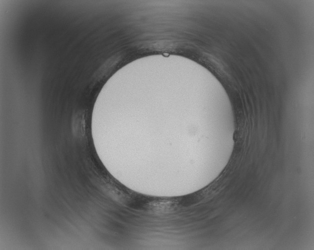 X0000073840120200609071551