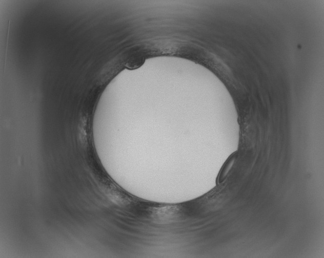 X0000073840122200609071551