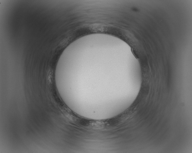 X0000073840125200609071551