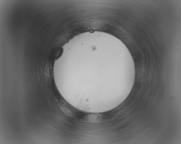 X0000073840126200609071551