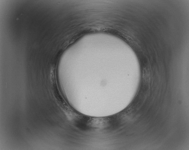 X0000073840127200609071551