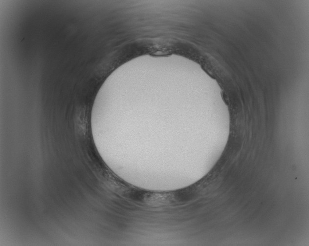 X0000073840129200609071551