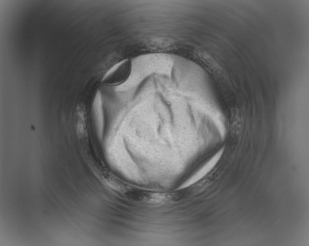 X0000073840130200609071551