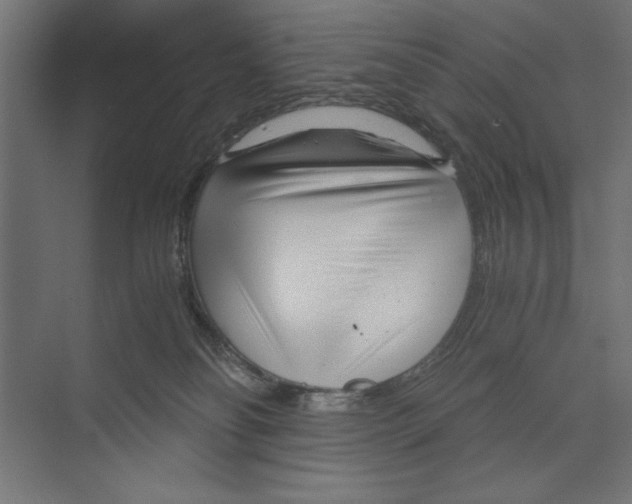 X0000073840134200609071551