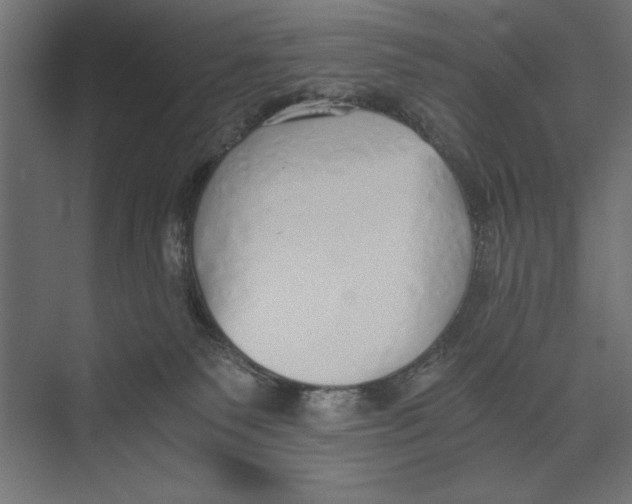 X0000073840135200609071551