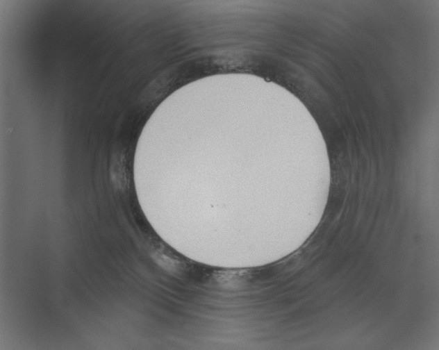 X0000073840136200609071551