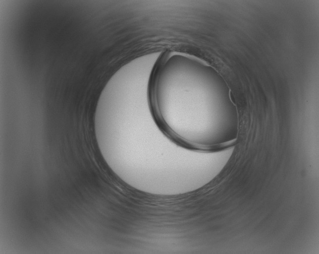 X0000073840137200609071551