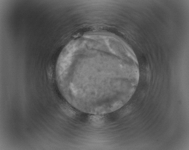 X0000073840139200609071551