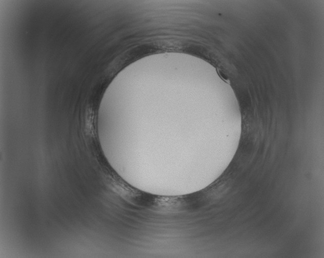 X0000073840141200609071551