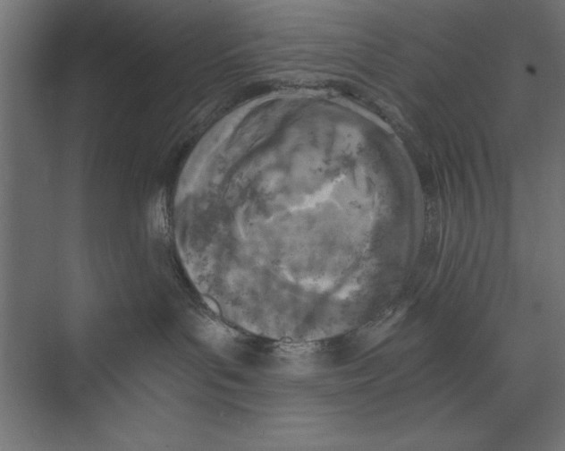 X0000073840143200609071551