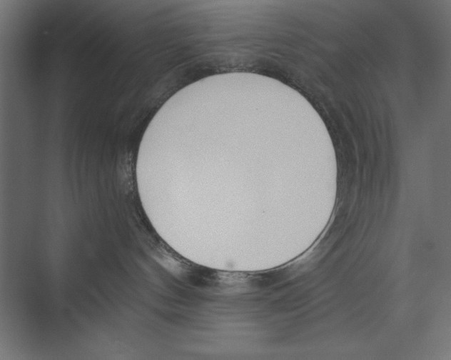 X0000073840144200609071551