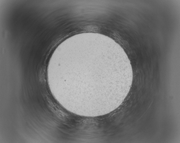 X0000073840146200609071550