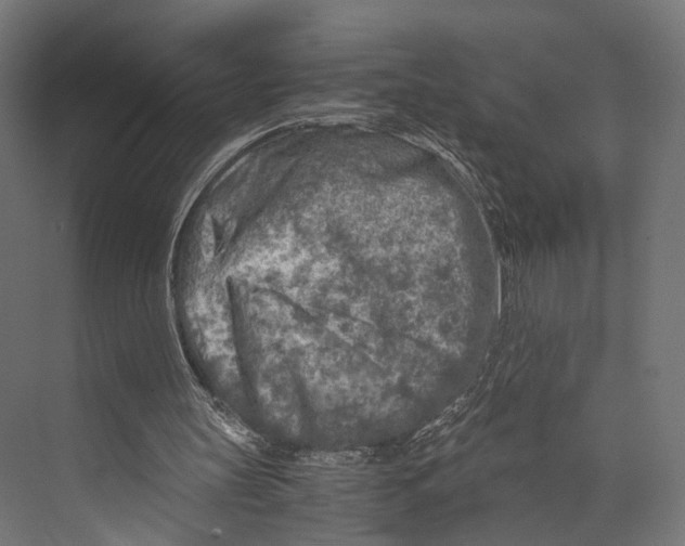 X0000073840147200609071550