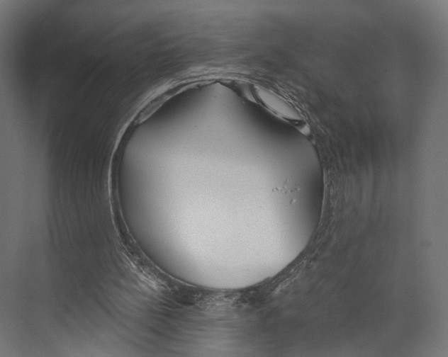 X0000073840148200609071550