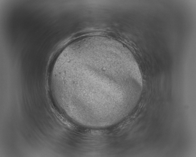 X0000073840149200609071550