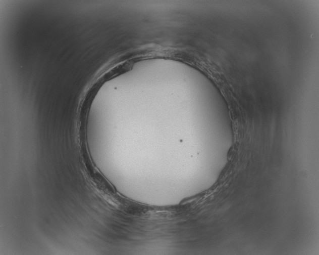 X0000073840150200609071550