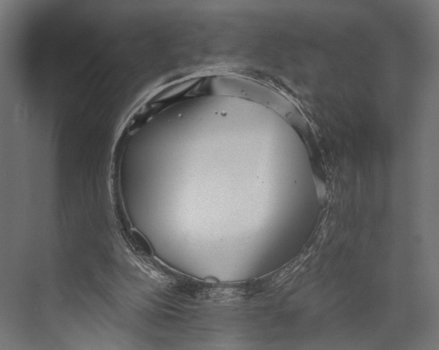 X0000073840152200609071550