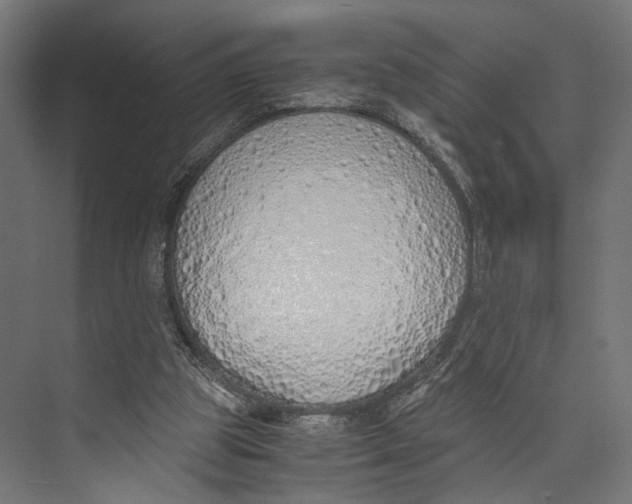 X0000073840153200609071550