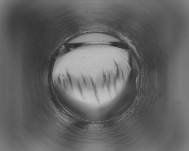 X0000073840154200609071550