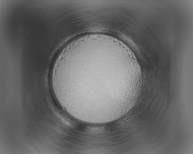 X0000073840155200609071550