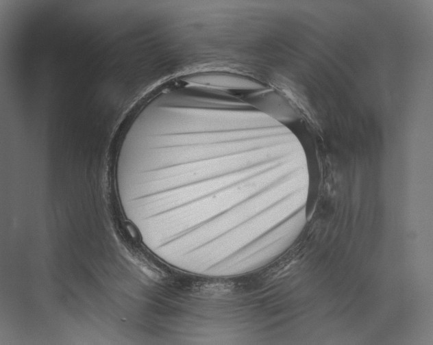 X0000073840156200609071550