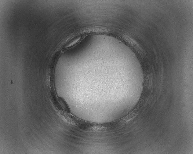 X0000073840158200609071550