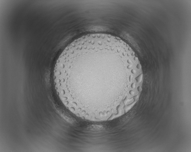 X0000073840159200609071550