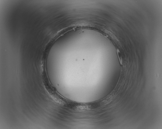 X0000073840160200609071550