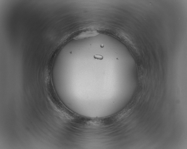 X0000073840164200609071550