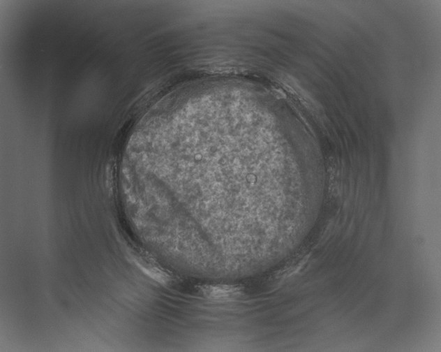 X0000073840165200609071550