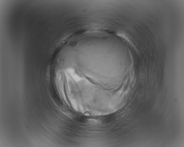 X0000073840167200609071550