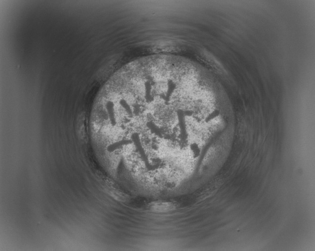 X0000073840169200609071550