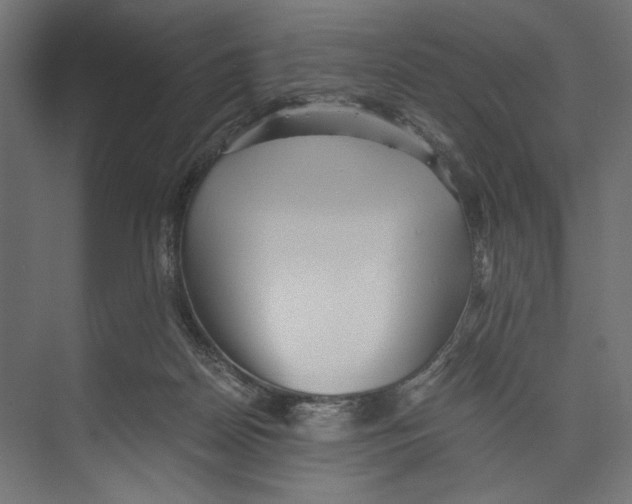 X0000073840170200609071550