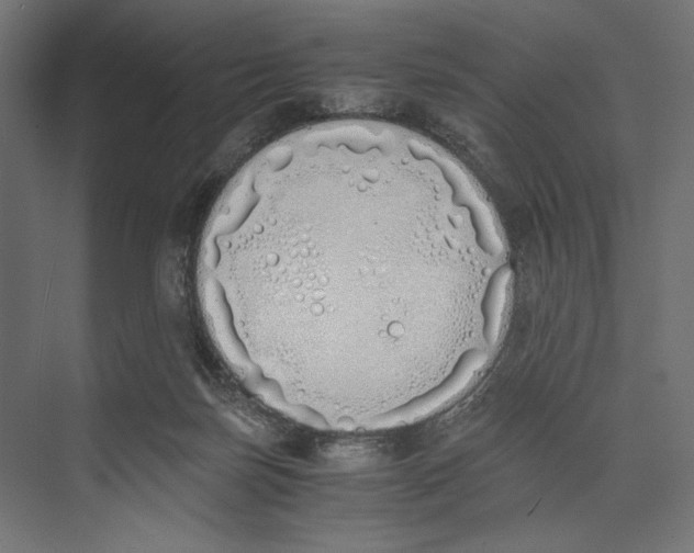 X0000073840171200609071550