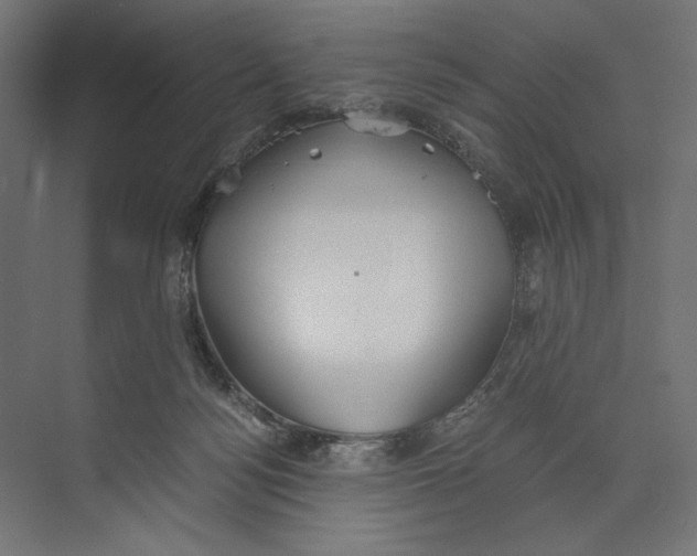 X0000073840172200609071550