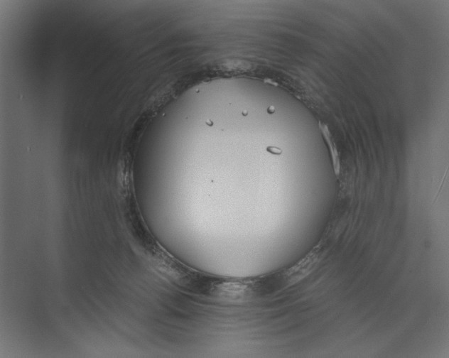 X0000073840176200609071550