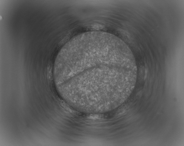 X0000073840177200609071550