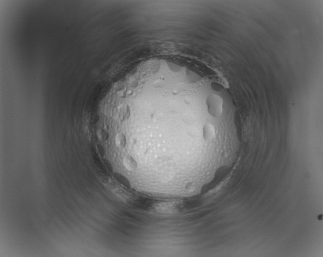 X0000073840178200609071550