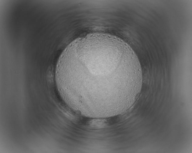 X0000073840179200609071550