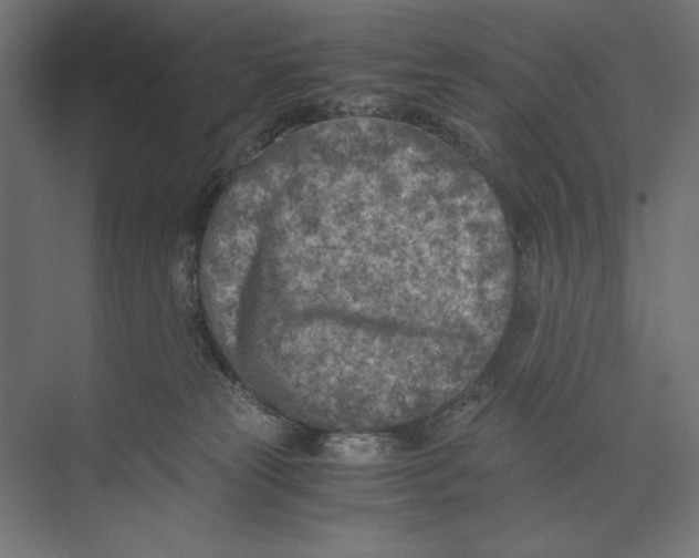 X0000073840181200609071550