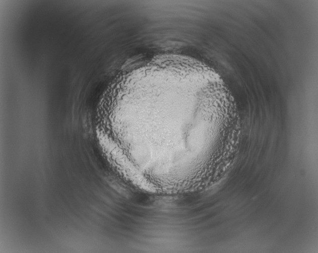 X0000073840182200609071550