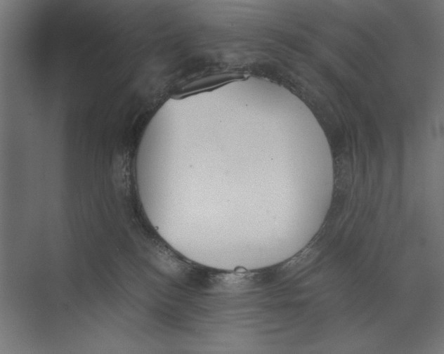 X0000073840184200609071550