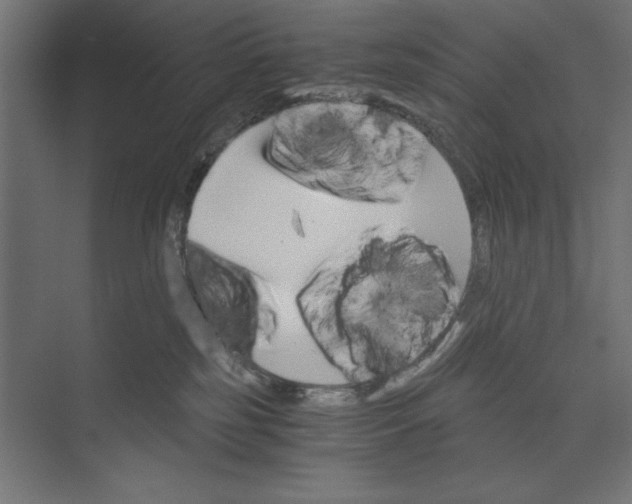 X0000073840185200609071550