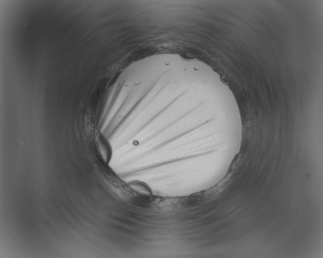 X0000073840186200609071550