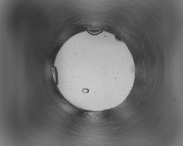 X0000073840188200609071550