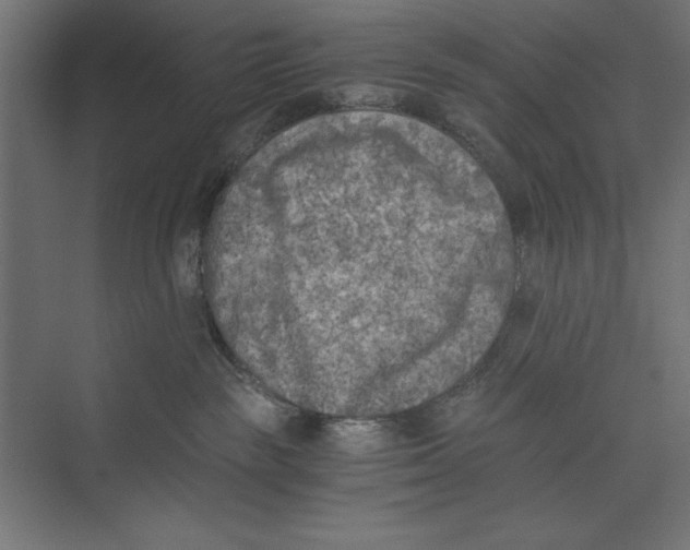 X0000073840189200609071551