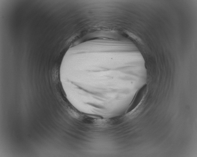 X0000073840192200609071551